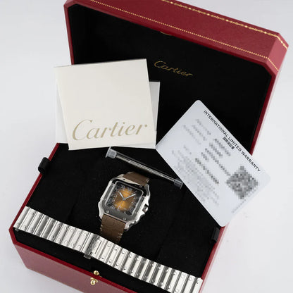 Cartier  Santos Medium Brown Dial - WSSA0065